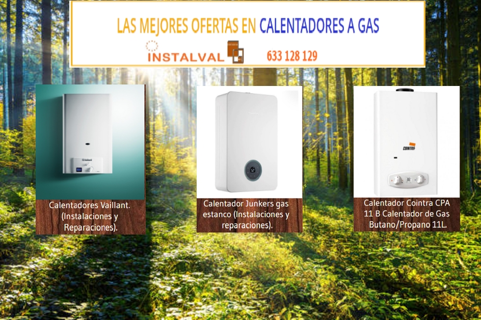 Calentadores de Gas en Valencia  Venta, instalación y mantenimiento
